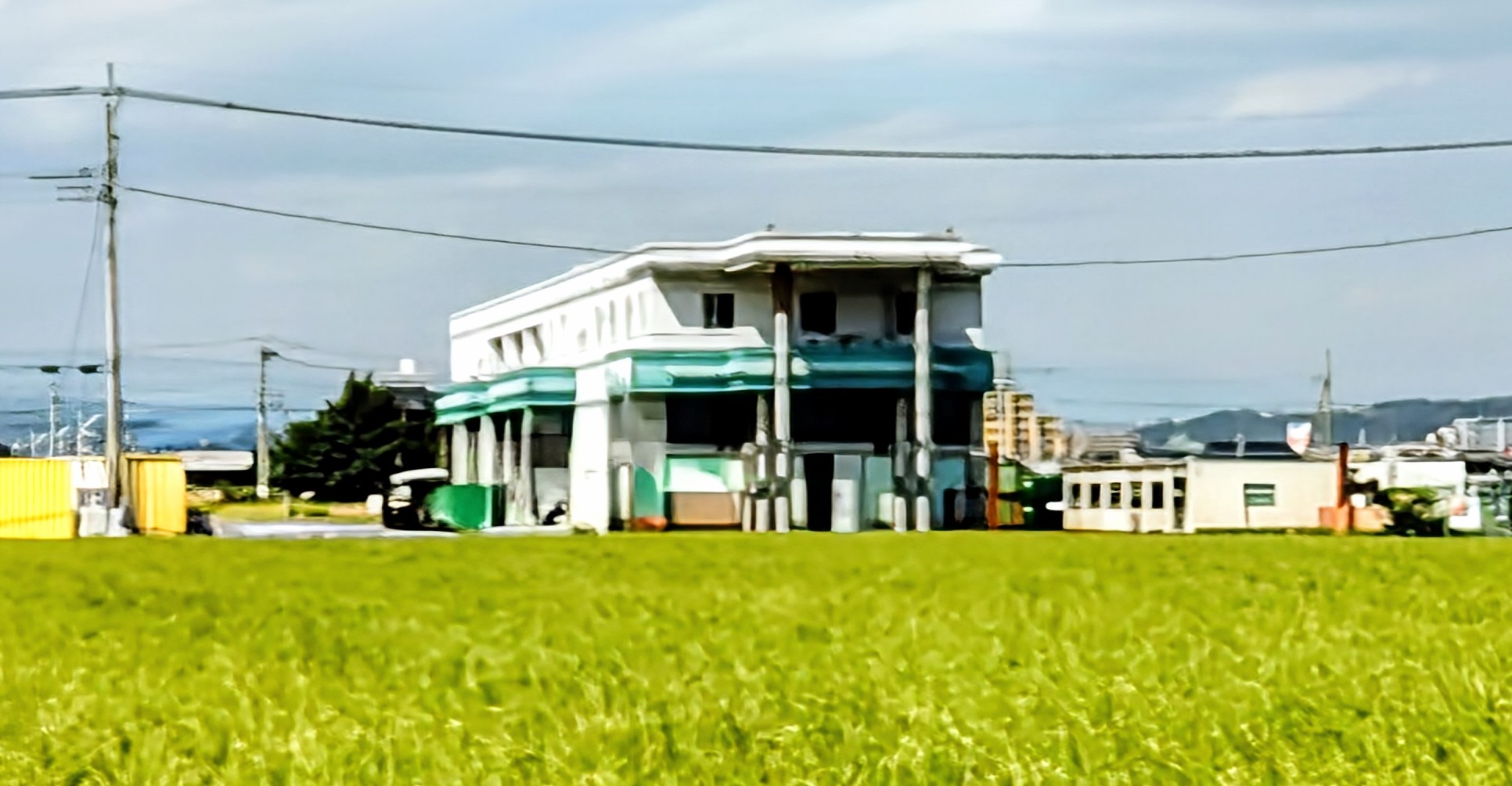 �}���n���V�J�X�̔p��